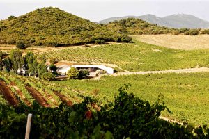 domaine comte peraldi