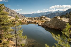Piscine-naturelle-corse