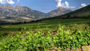domaine-d'alzipratu